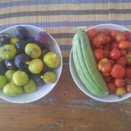 Palm Tree House With Beautiful View - 4 Persons Lägenhet Emporio (Santorini)