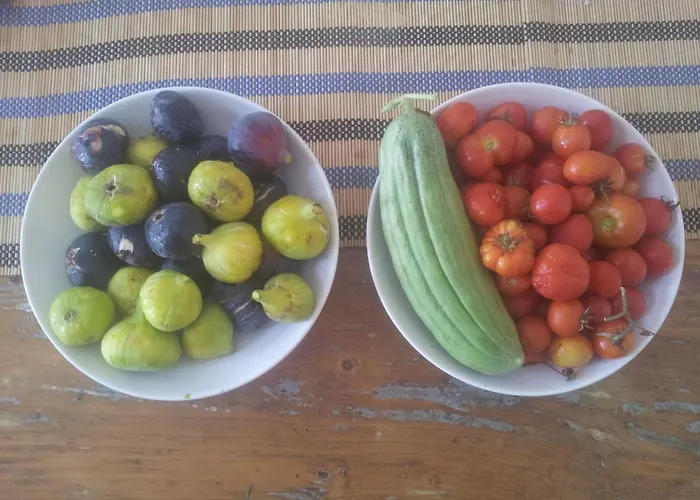 Palm Tree House With Beautiful View - 4 Persons Lägenhet Emporio (Santorini)
