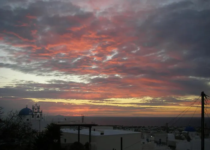 Palm Tree House With Beautiful View - 4 Persons Lejlighed *